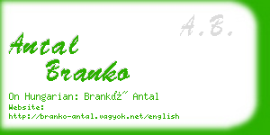 antal branko business card